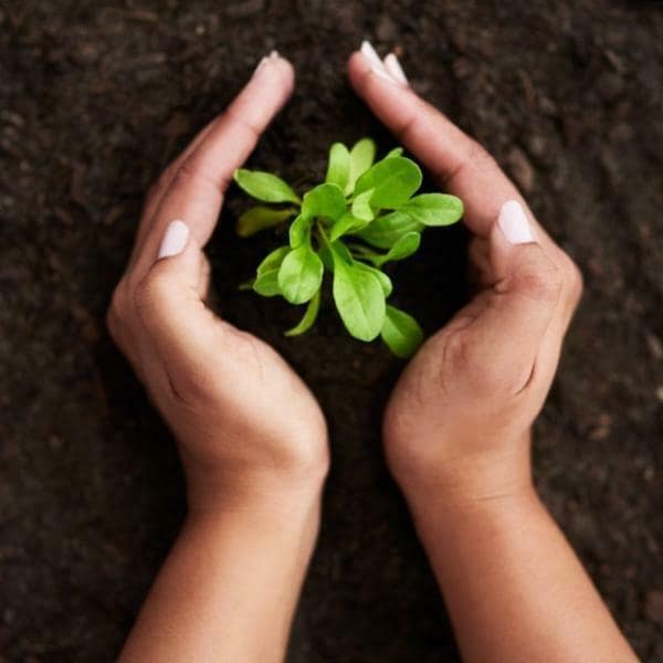 GREEN CONCEPT VERMICOMPOST ORGANIC FARMING (600 x 600 px)